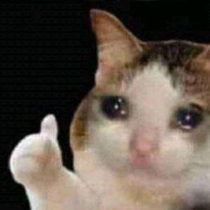 dark12465 avatar