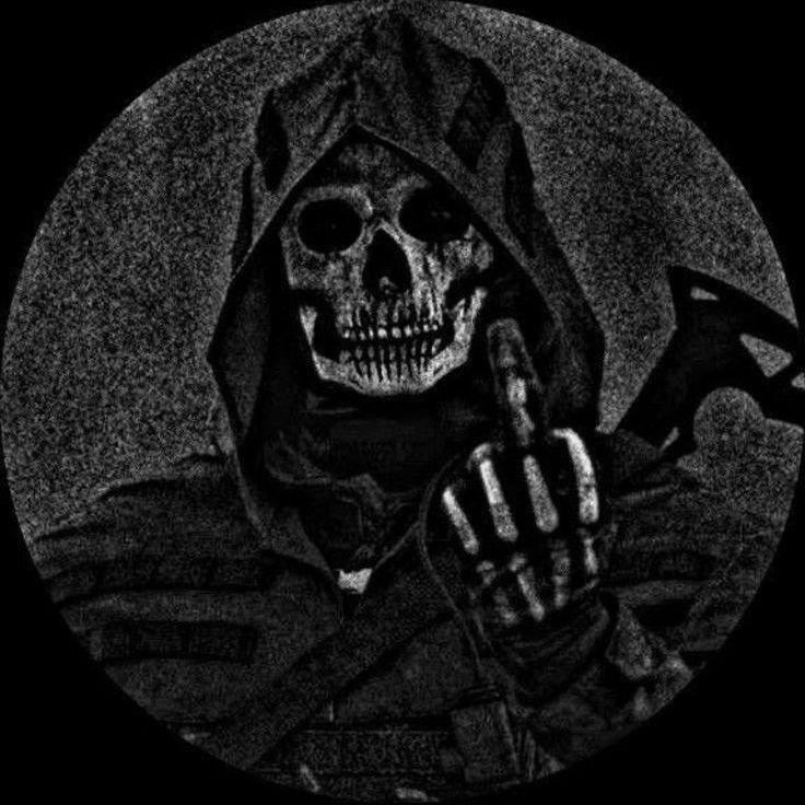 Bulbasmekte avatar