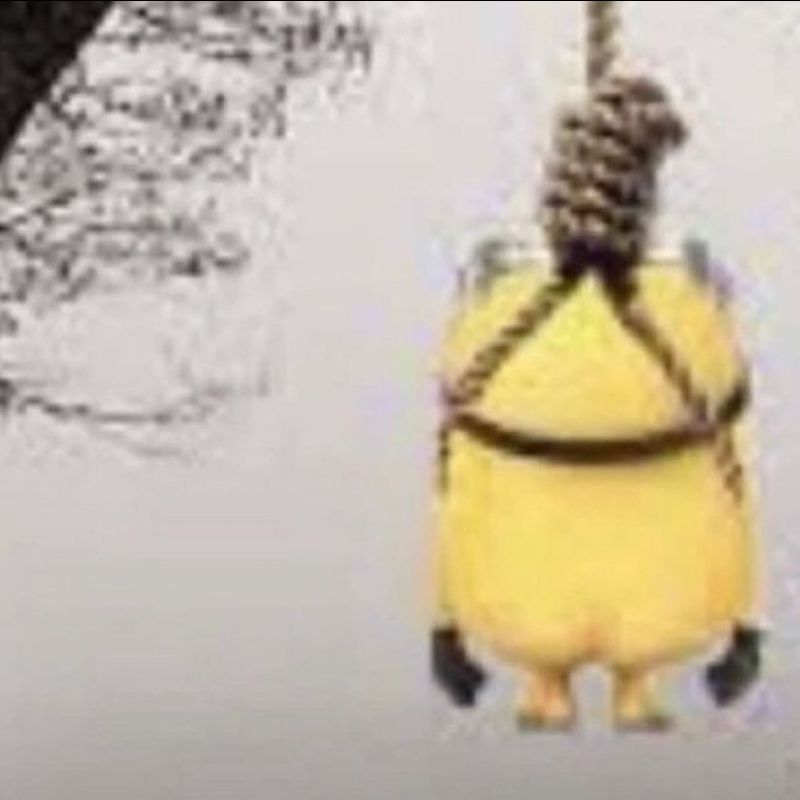 viz-