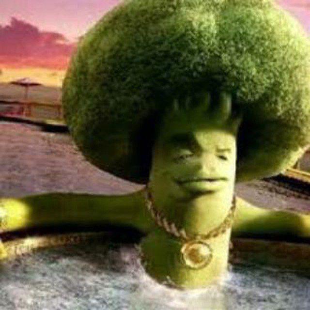 Temoxxx avatar