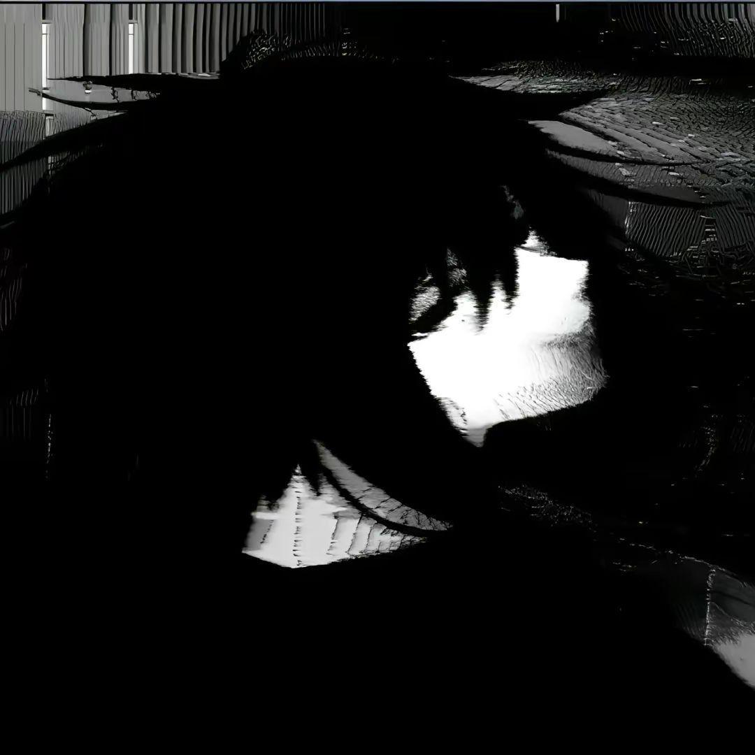 N1rko_slab avatar