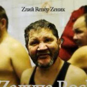 -z1gamet