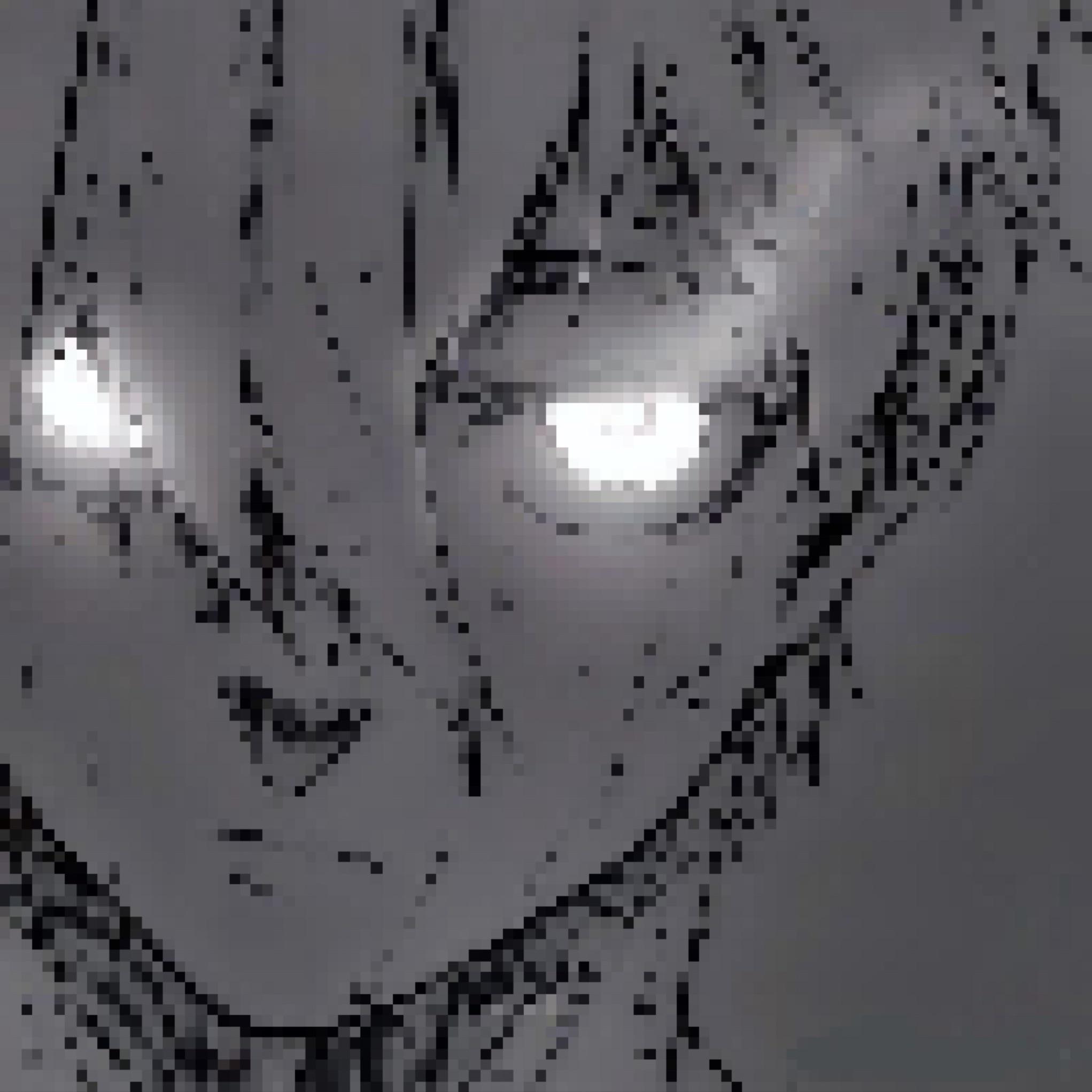 vnnmsr