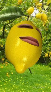 LEMONGUyy avatar