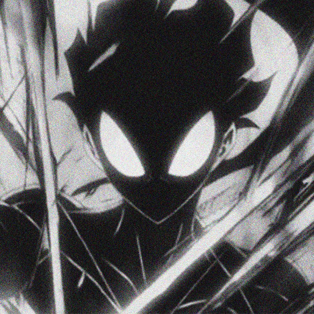 war0nd avatar
