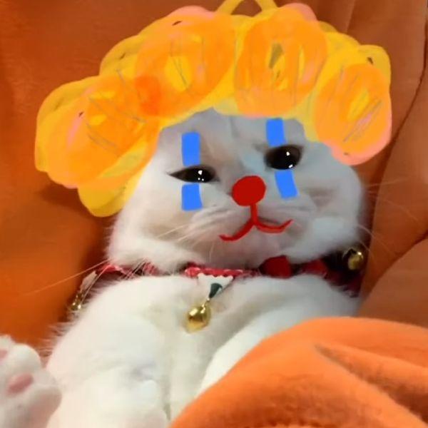 Cat10v1r avatar