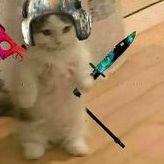 wintagn avatar