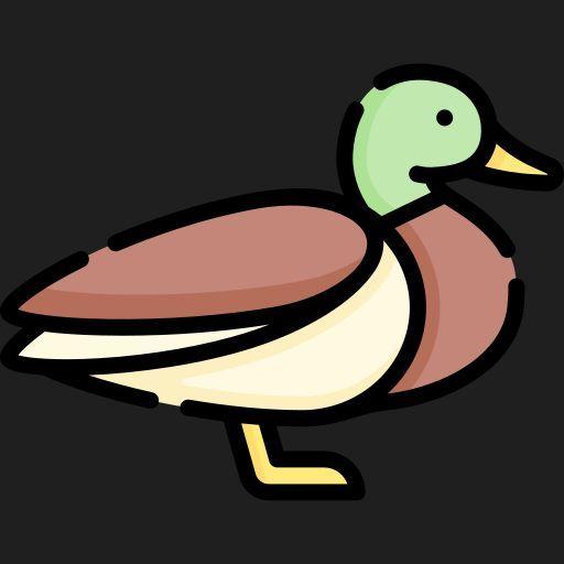 Player duckmosh- avatar