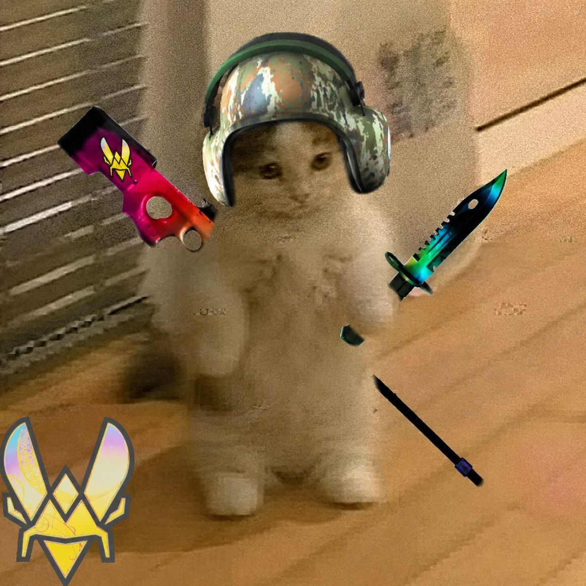 PatitiPeek FACEIT avatar