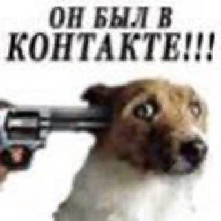 mavvashii avatar