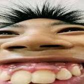 hogel3l3