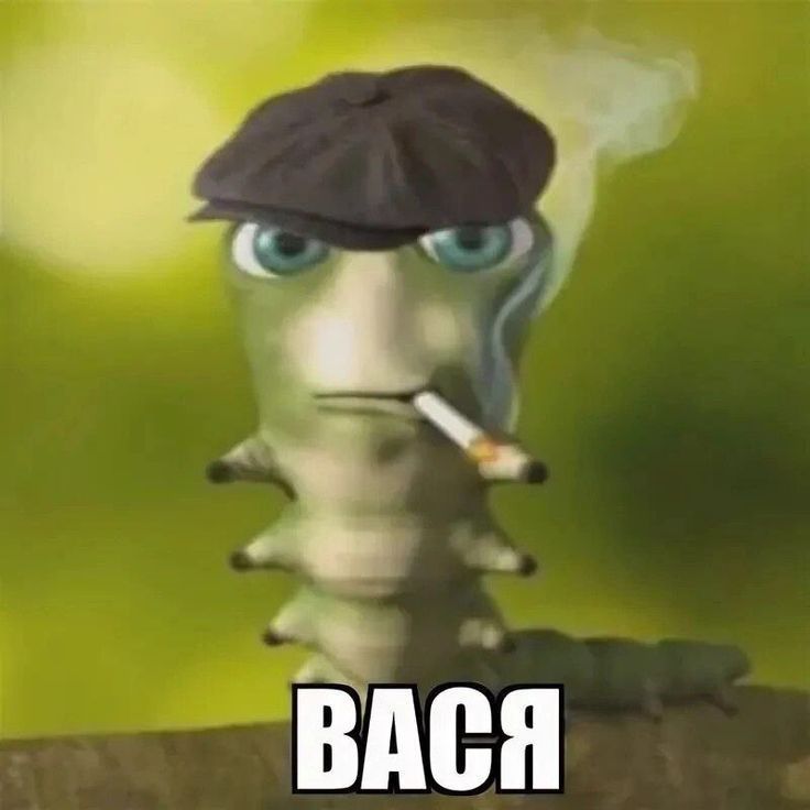1Muted