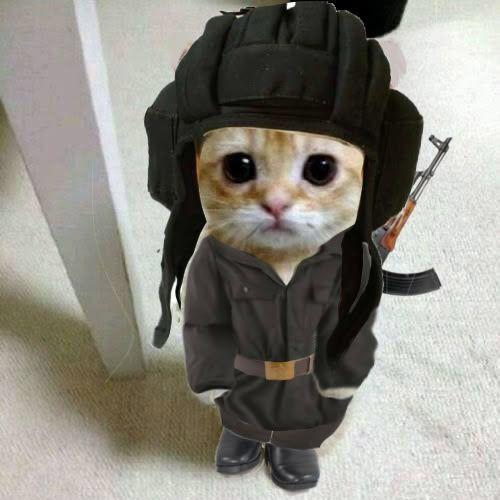 KINGSMANORA avatar