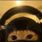 po1zon-_- avatar