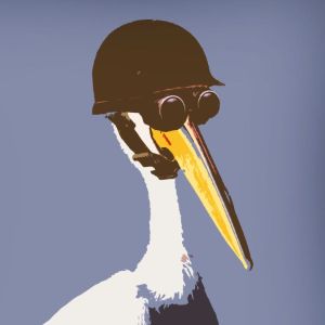 MightyPelicans