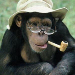 Old_Monkey_8 avatar