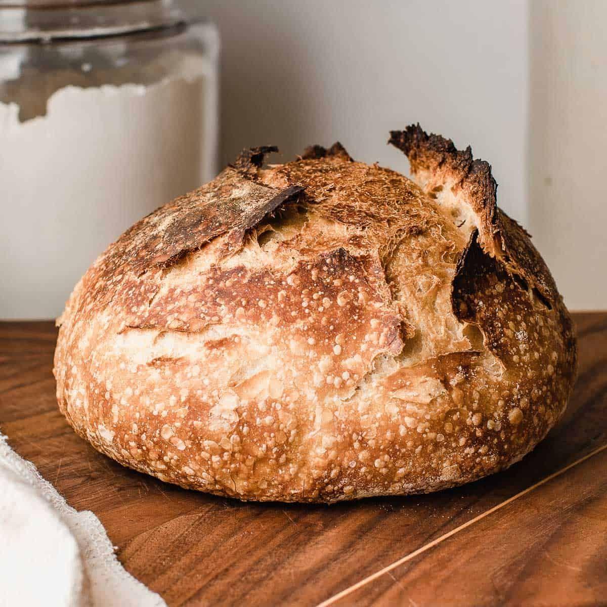 sourdough_v2 avatar