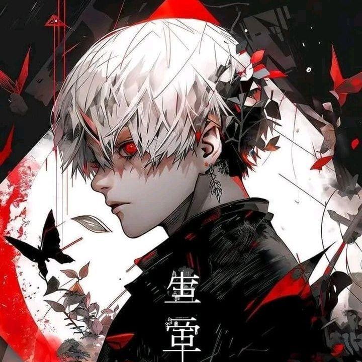 NOISY1boy avatar