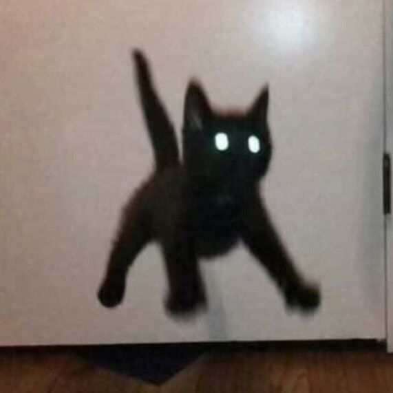 WetNapkin67