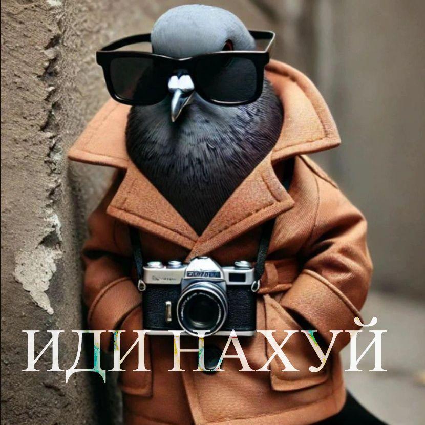 keccedka_ avatar