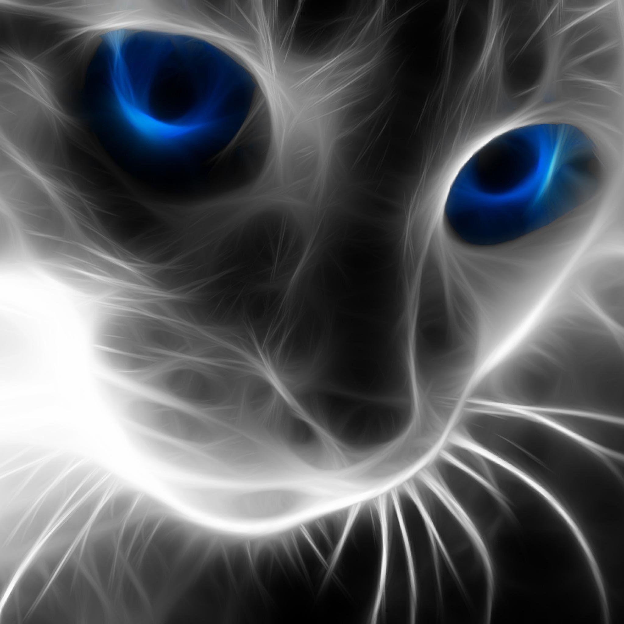 kanistra8 avatar