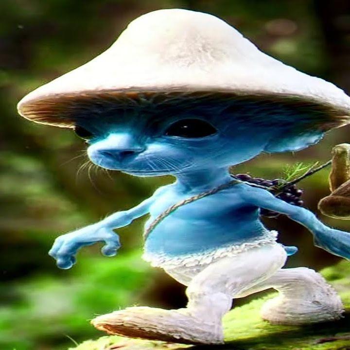 Ustovin1 avatar