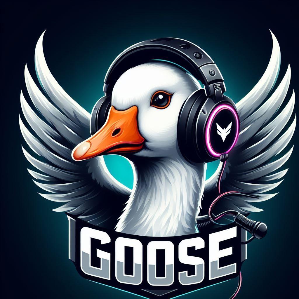 GooSe-dk avatar