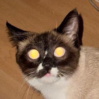 mami666