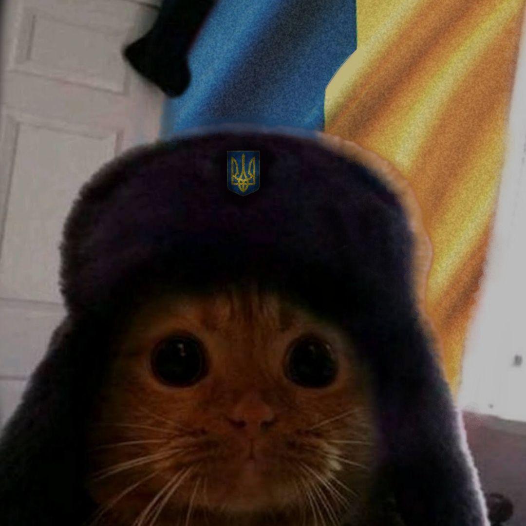 _SANECHKA__ avatar