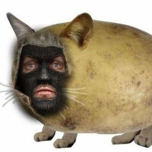 k0toshk4 avatar