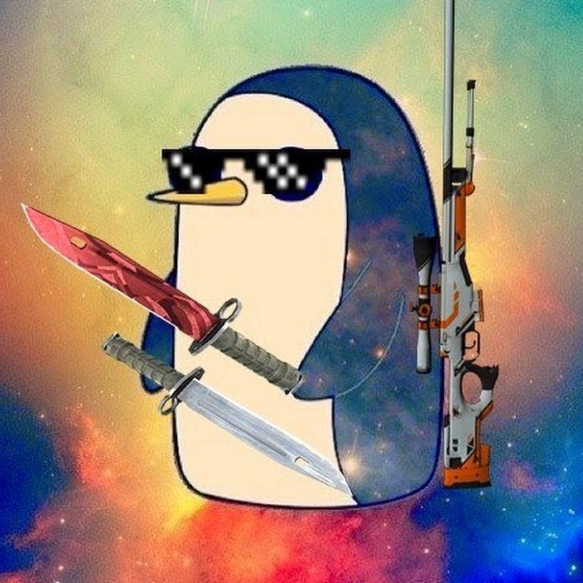 HackOffBro avatar