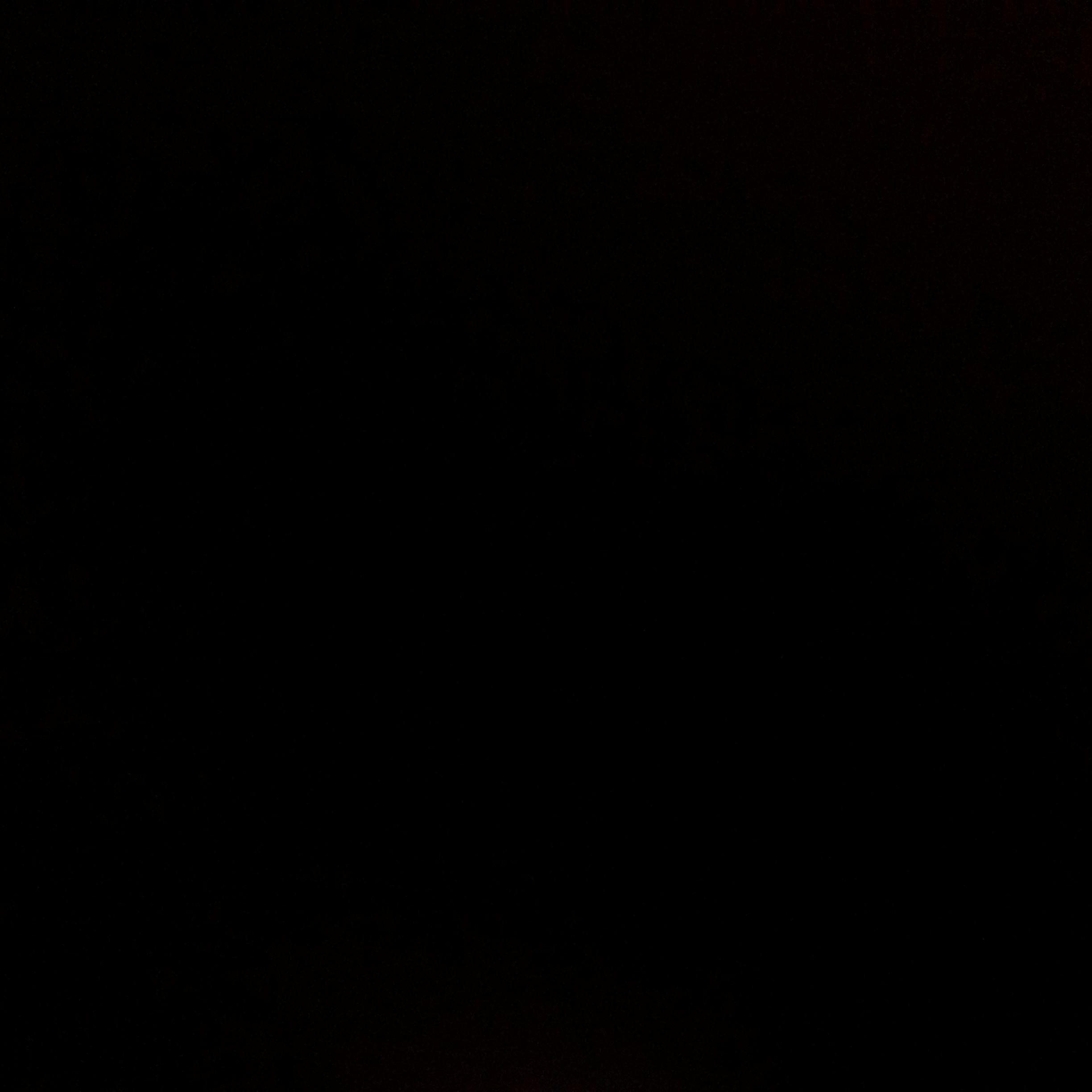 Toomeg