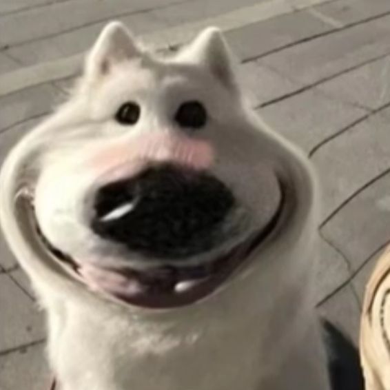 b0mbaaclat