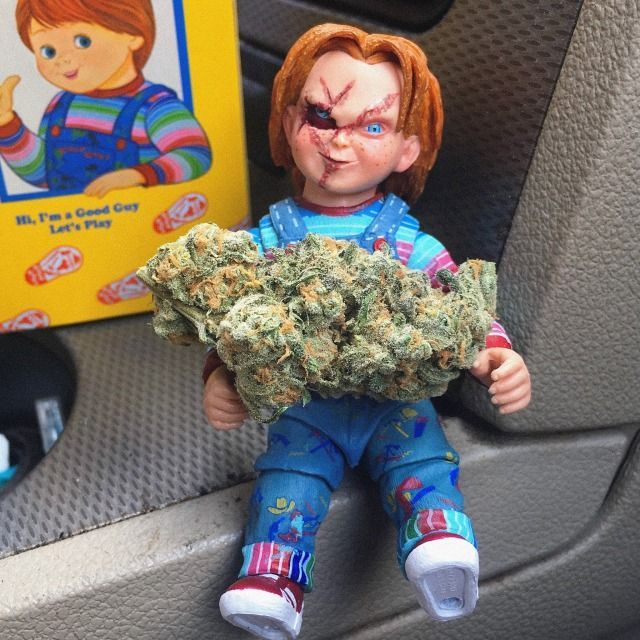 team_DonChucky