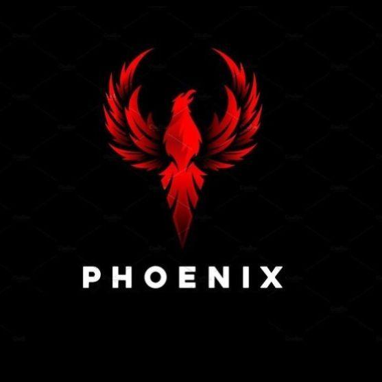 Player ---Phoenix avatar
