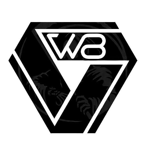 wait8 eSports