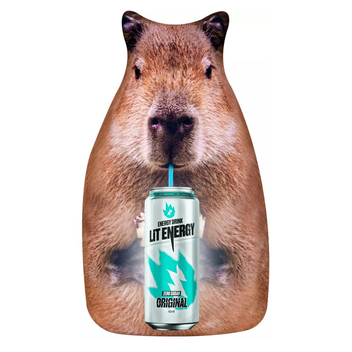 LitEnergy