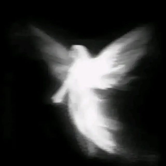 wa1ful666