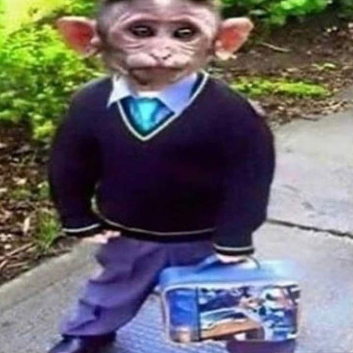 Markul- avatar