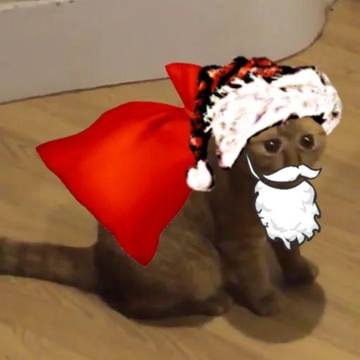 BUBA_Ochko avatar