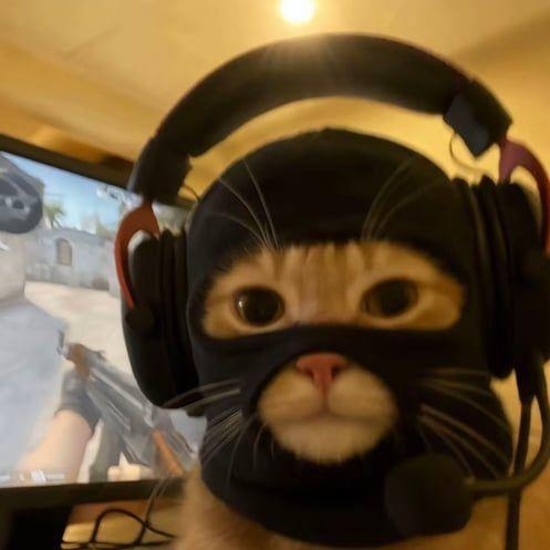 BillGamer29 avatar