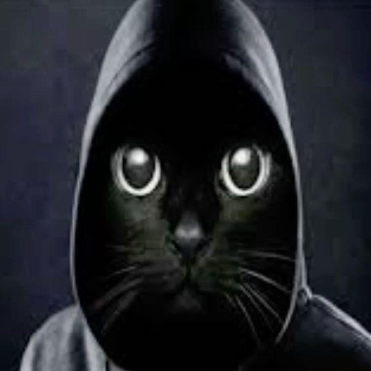 Danser_cheat avatar
