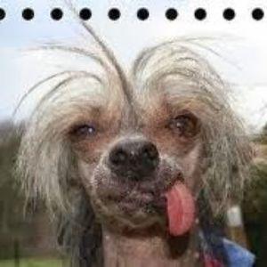 SanktaClaes avatar