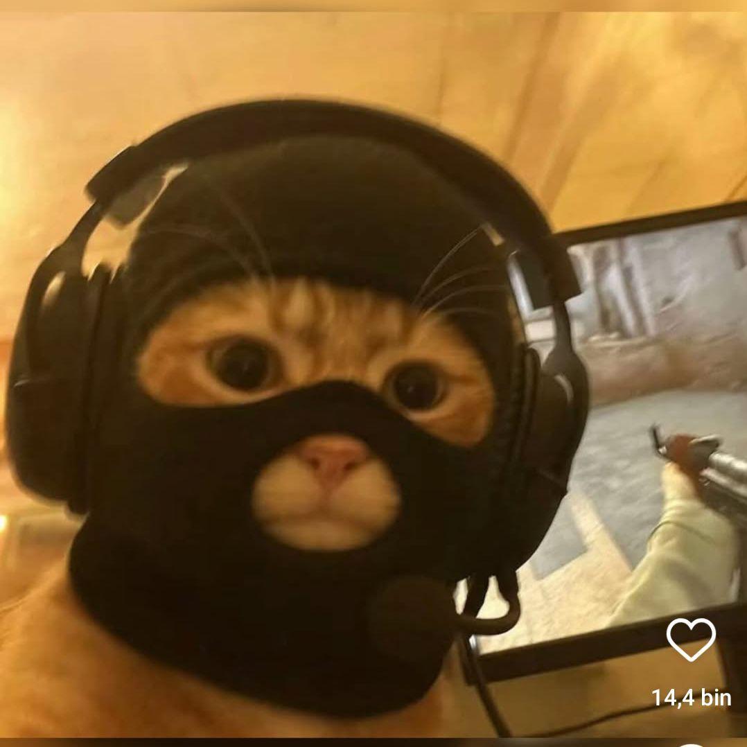 Faceit avatar