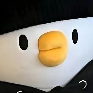 chsvplaki avatar