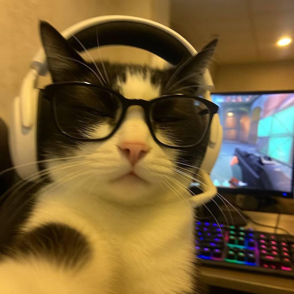 Kn0W1n avatar