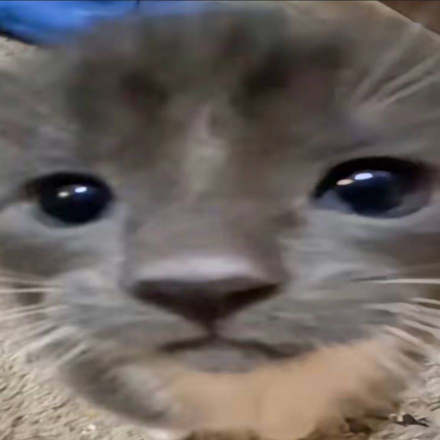 Azurkator