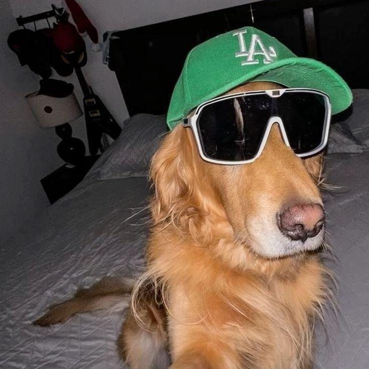 eu6e avatar