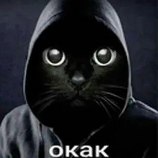 mimail7 avatar