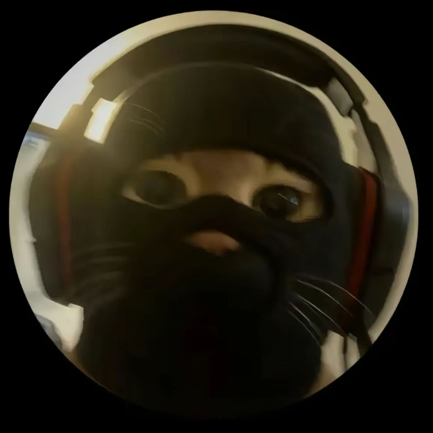 polo__0